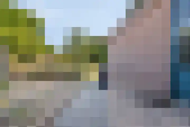 Monnetstede 52 Goes thumbnail 26