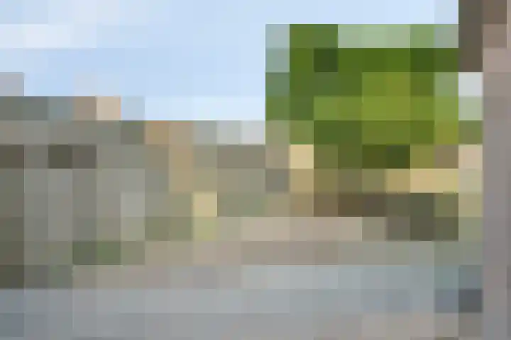 Monnetstede 52 Goes thumbnail 27