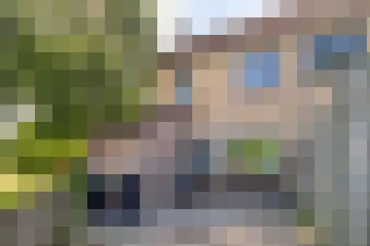 Monnetstede 52 Goes thumbnail 28