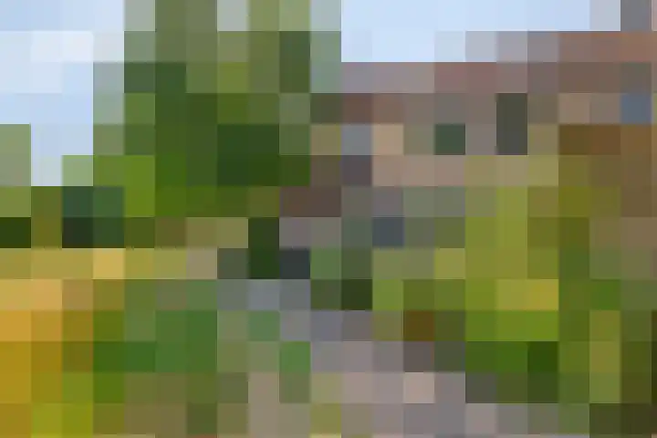 Monnetstede 52 Goes thumbnail 29