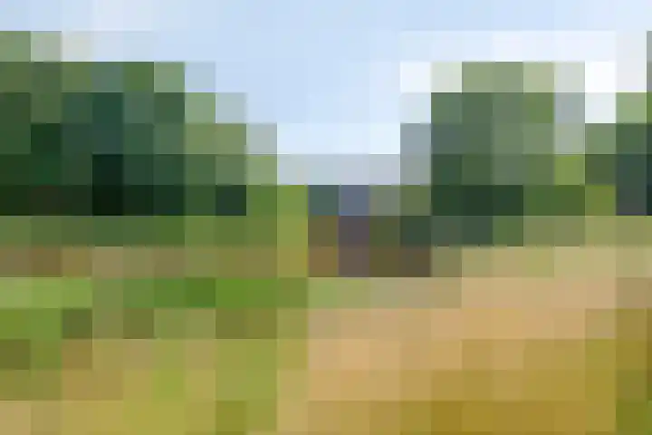 Monnetstede 52 Goes thumbnail 30