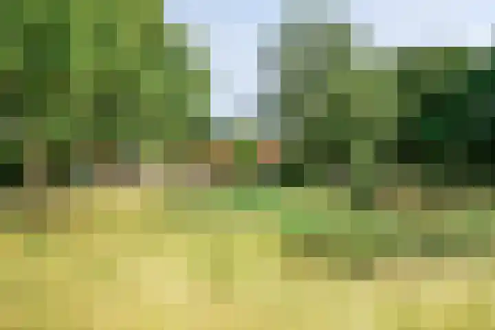 Monnetstede 52 Goes thumbnail 31