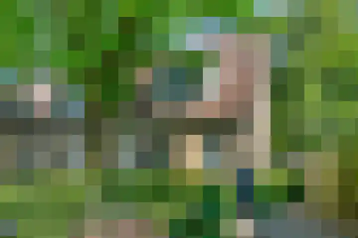 Monnetstede 52 Goes thumbnail 35