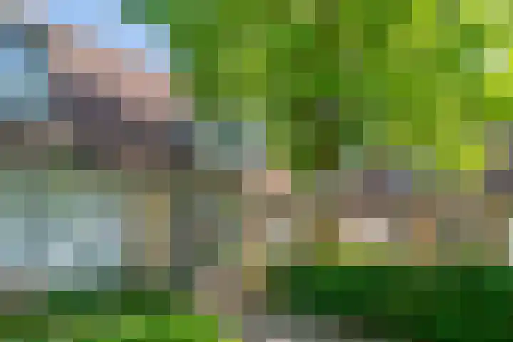 Monnetstede 52 Goes thumbnail 5