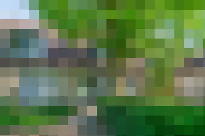 Monnetstede 52 Goes thumbnail 6