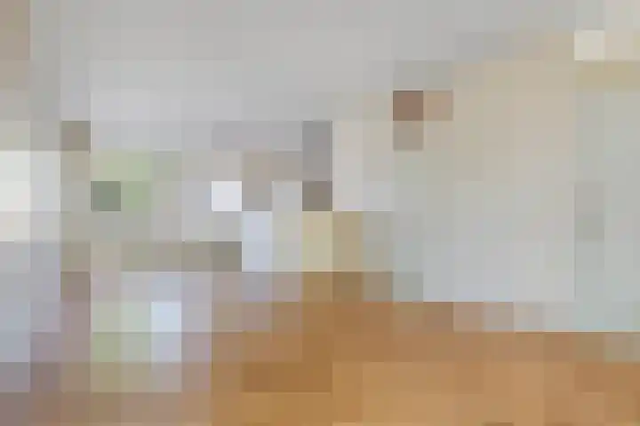 Monnetstede 52 Goes thumbnail 8