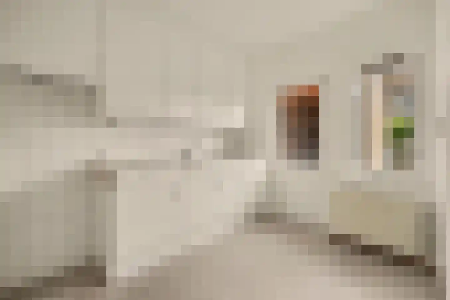 Monnetstede 6 Goes thumbnail 11