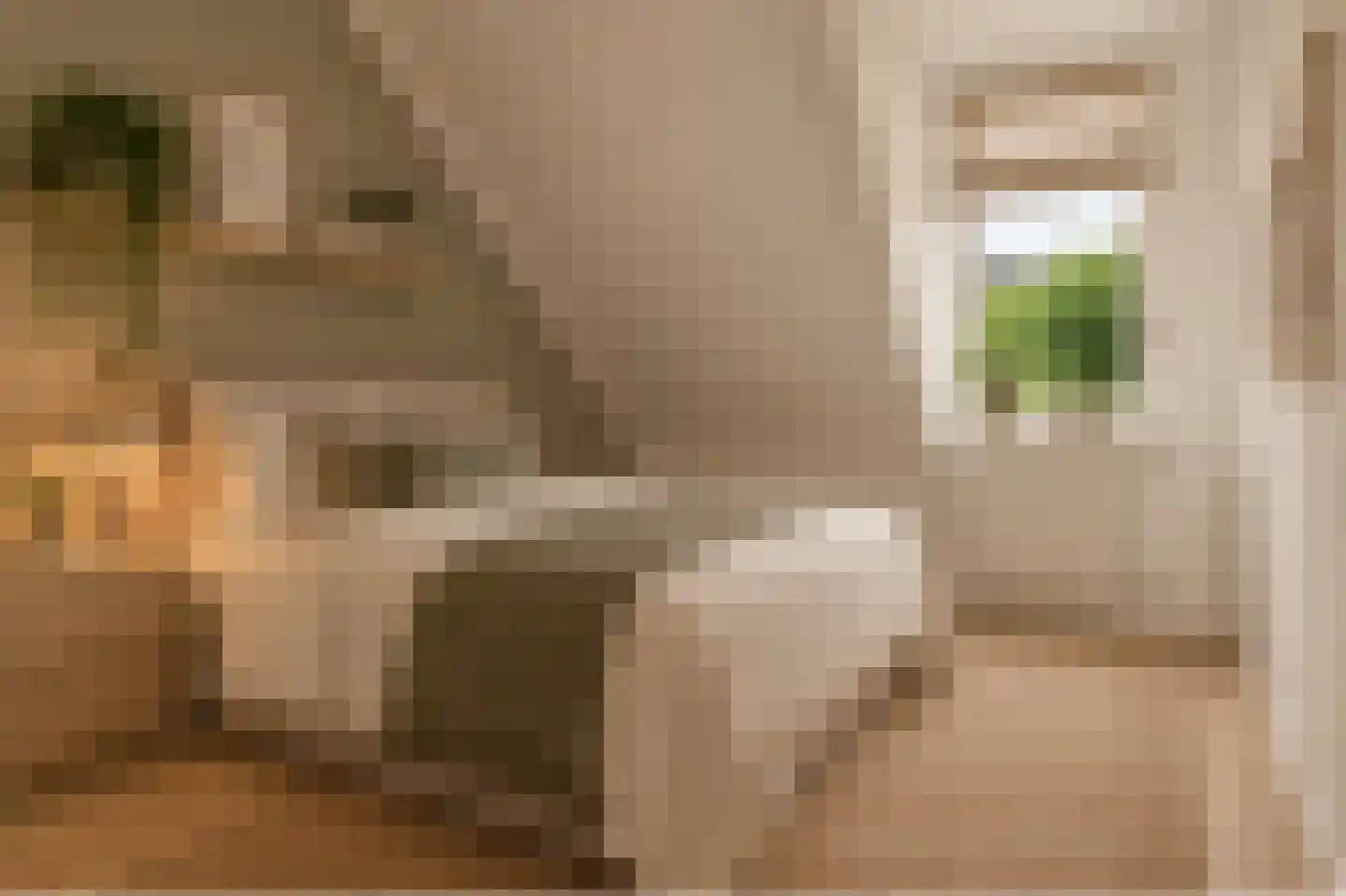 Monnetstede 6 Goes thumbnail 20