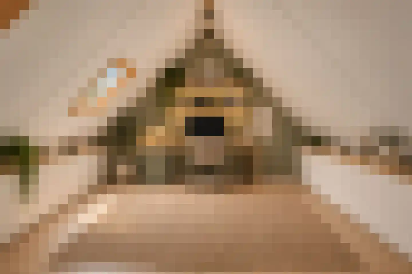 Monnetstede 6 Goes thumbnail 30