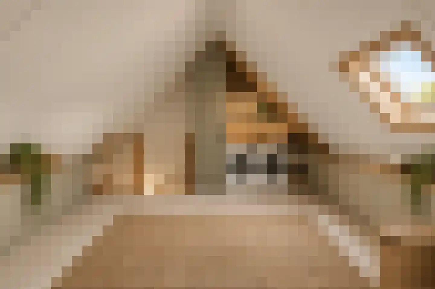Monnetstede 6 Goes thumbnail 32