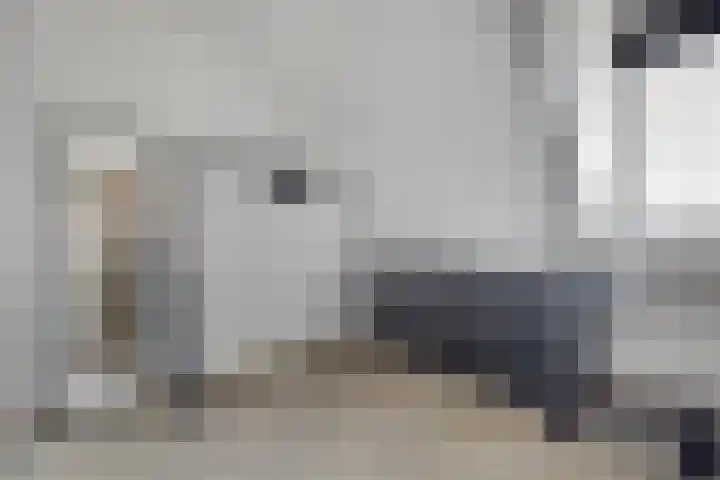 Monnetstede 67 Goes thumbnail 22