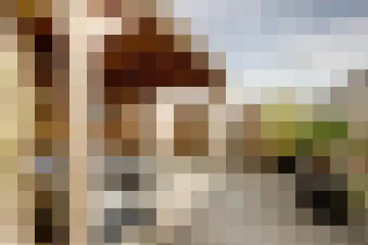Monnetstede 67 Goes thumbnail 29