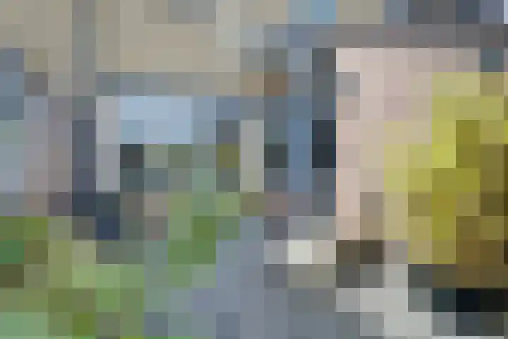 Monnetstede 67 Goes thumbnail 32