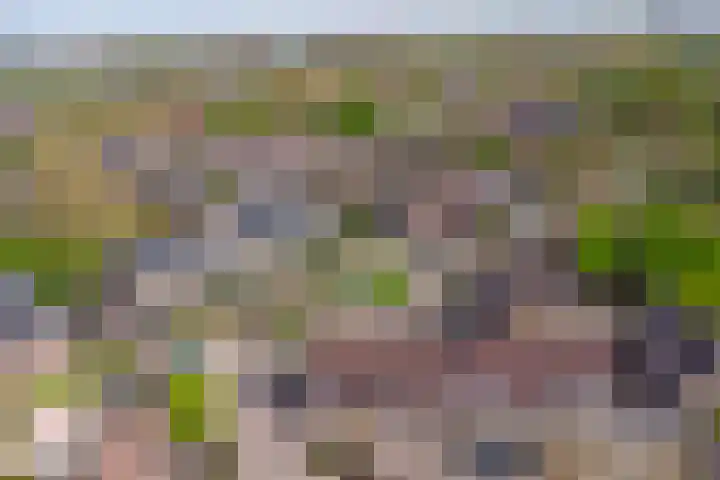 Monnetstede 67 Goes thumbnail 36