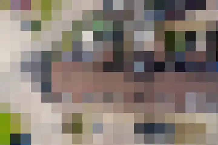 Monnetstede 67 Goes thumbnail 37