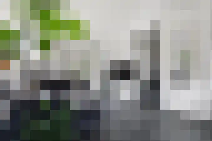 Monnetstede 67 Goes thumbnail 7