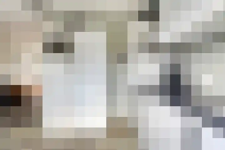Monnetstede 69 Goes thumbnail 13