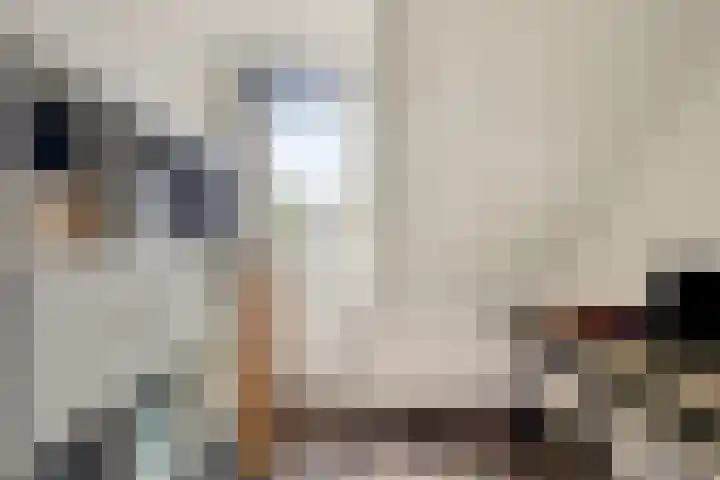 Monnetstede 69 Goes thumbnail 20