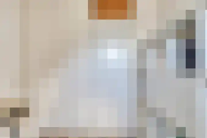 Monnetstede 69 Goes thumbnail 21