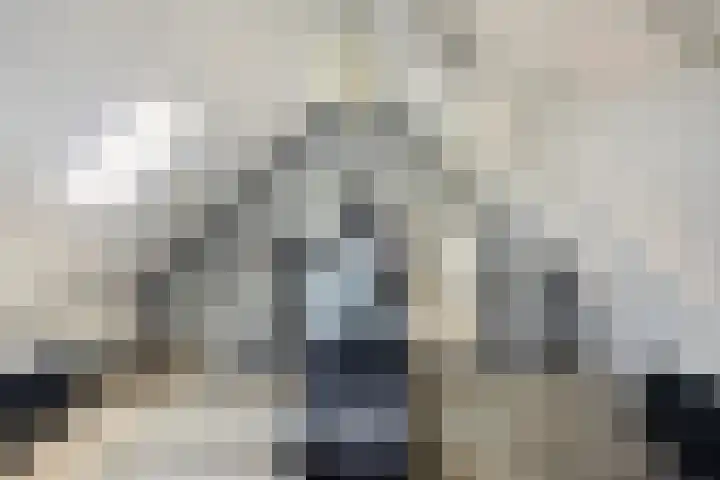 Monnetstede 69 Goes thumbnail 22