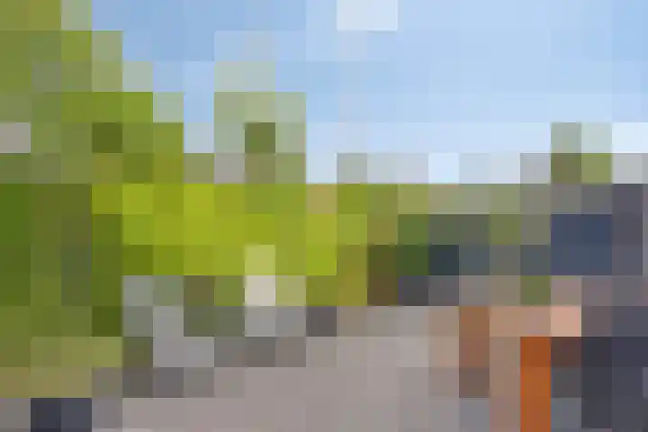 Monnetstede 69 Goes thumbnail 23