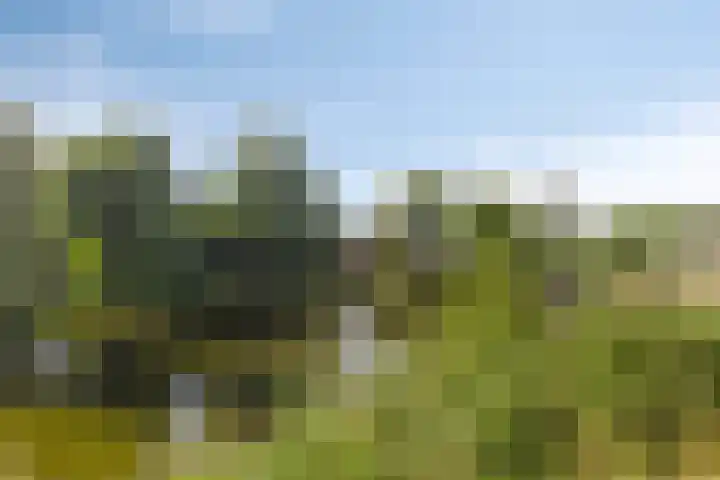 Monnetstede 69 Goes thumbnail 28