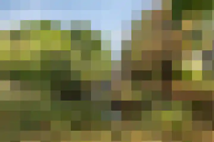 Monnetstede 69 Goes thumbnail 29