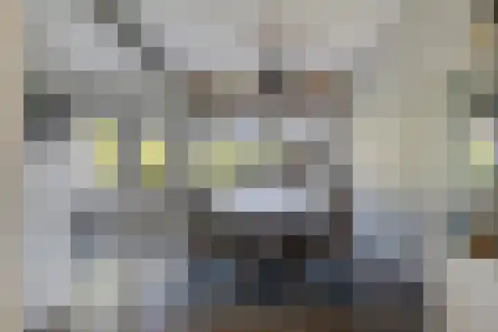 Monnetstede 69 Goes thumbnail 9
