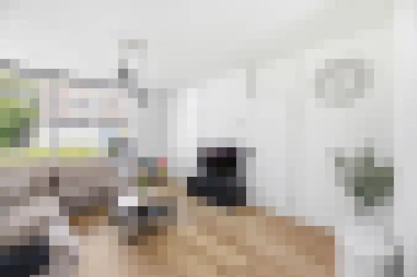 Monnetstede 8 Goes thumbnail 15