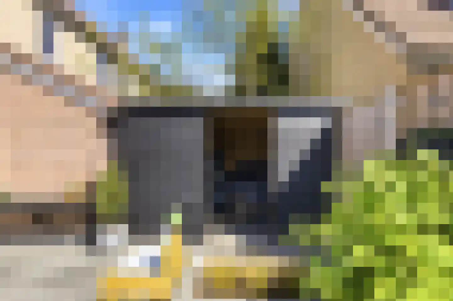 Monnetstede 8 Goes thumbnail 22