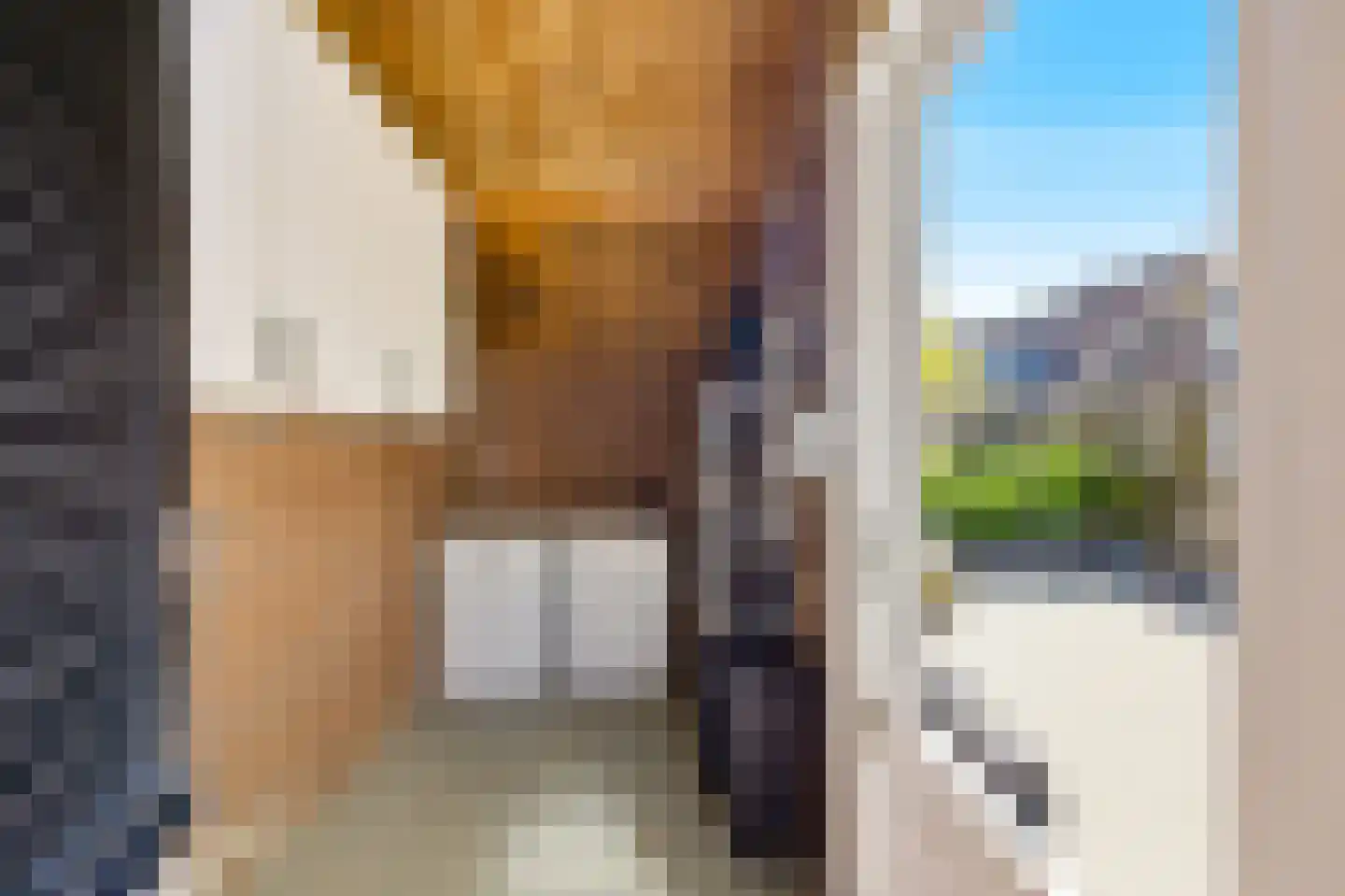 Monnetstede 8 Goes thumbnail 23