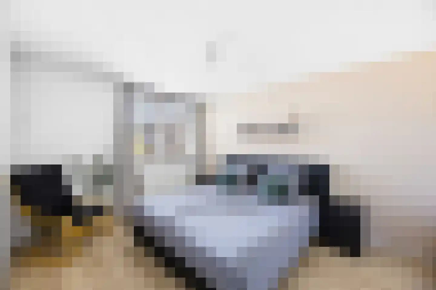 Monnetstede 8 Goes thumbnail 24