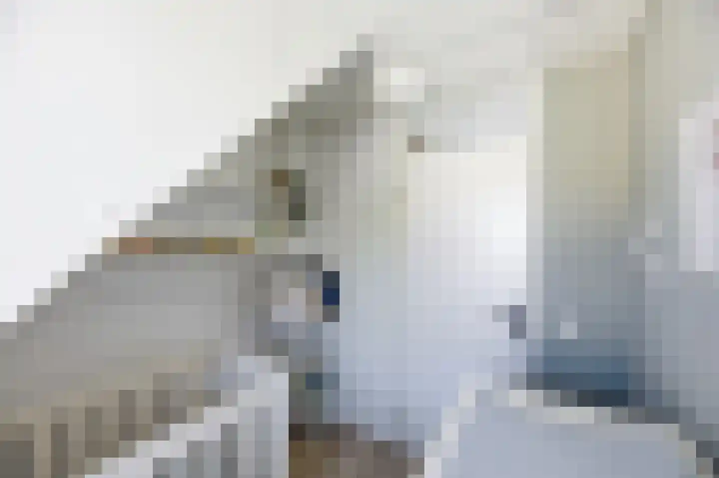 Monnetstede 8 Goes thumbnail 27