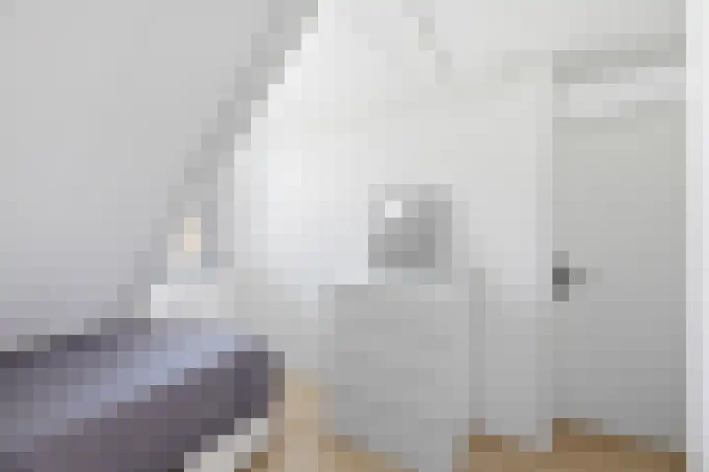 Monnetstede 8 Goes thumbnail 30