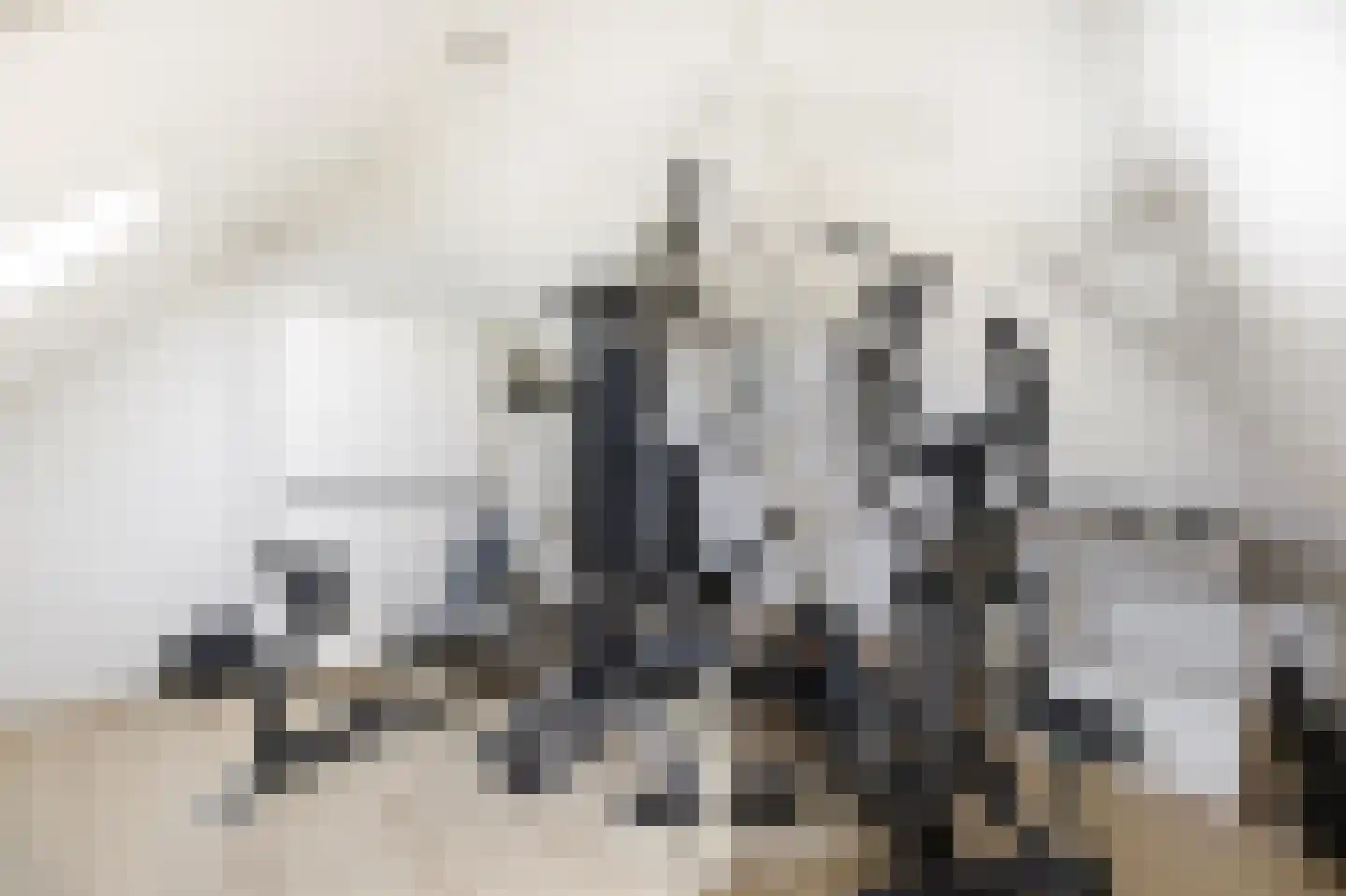 Monnetstede 8 Goes thumbnail 31