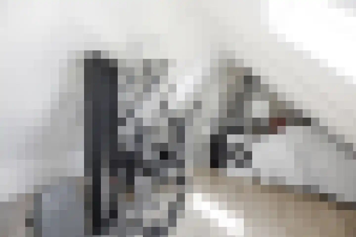 Monnetstede 8 Goes thumbnail 32