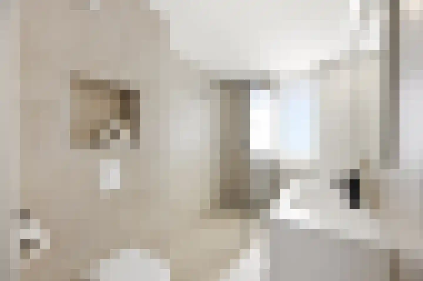 Monnetstede 8 Goes thumbnail 4