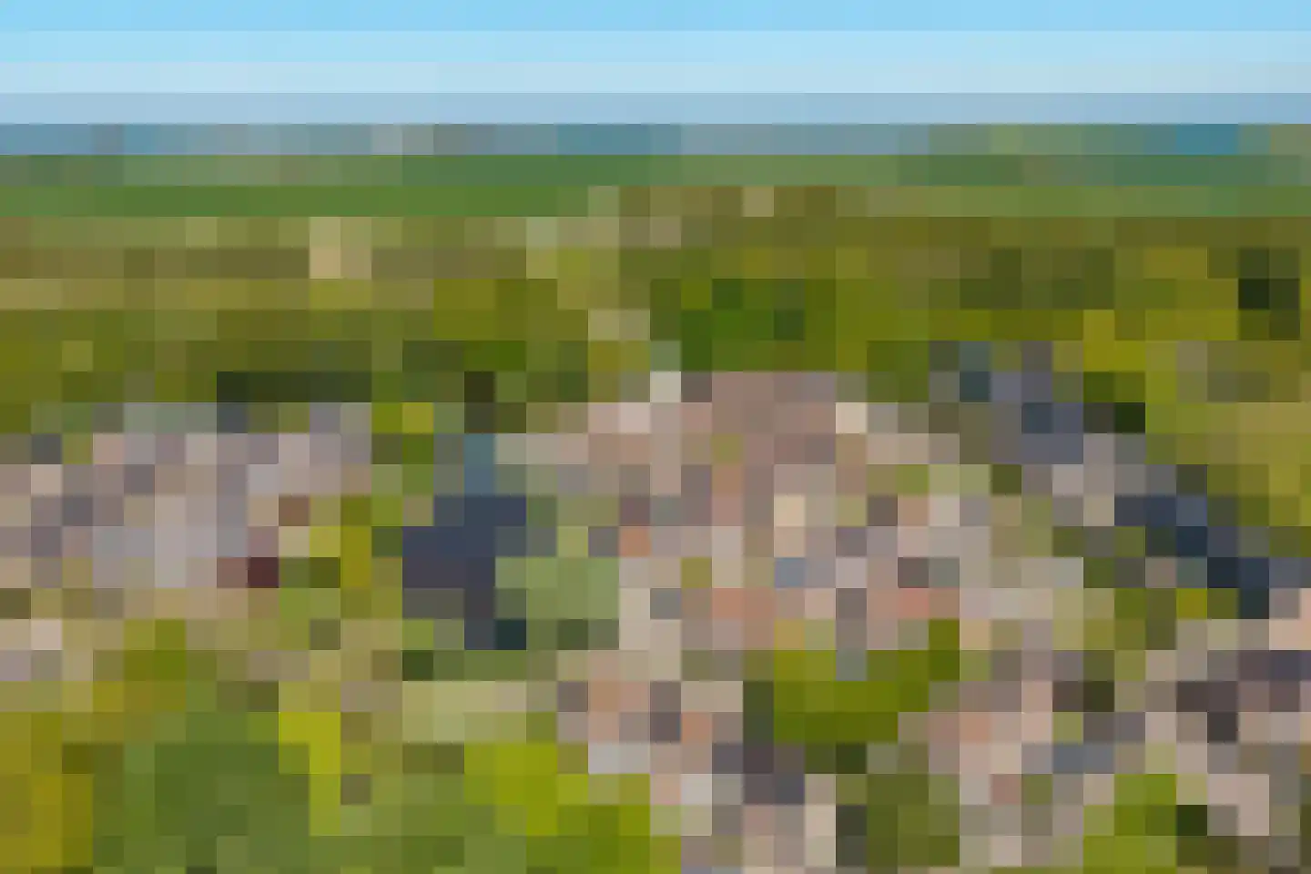 Monnetstede 8 Goes thumbnail 6