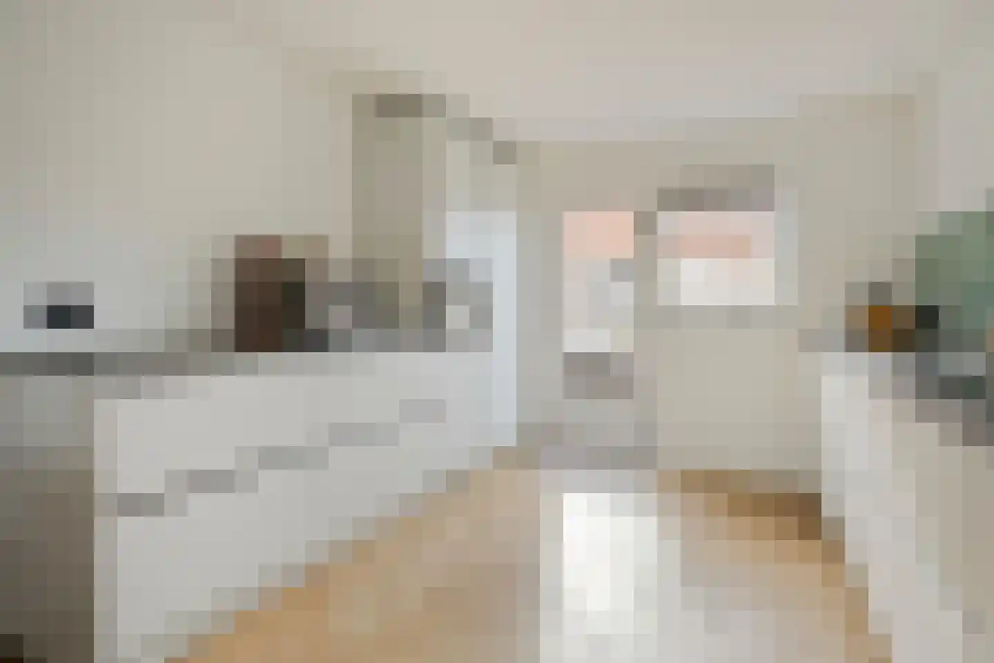 Monnetstraat 10 Zevenaar thumbnail 21