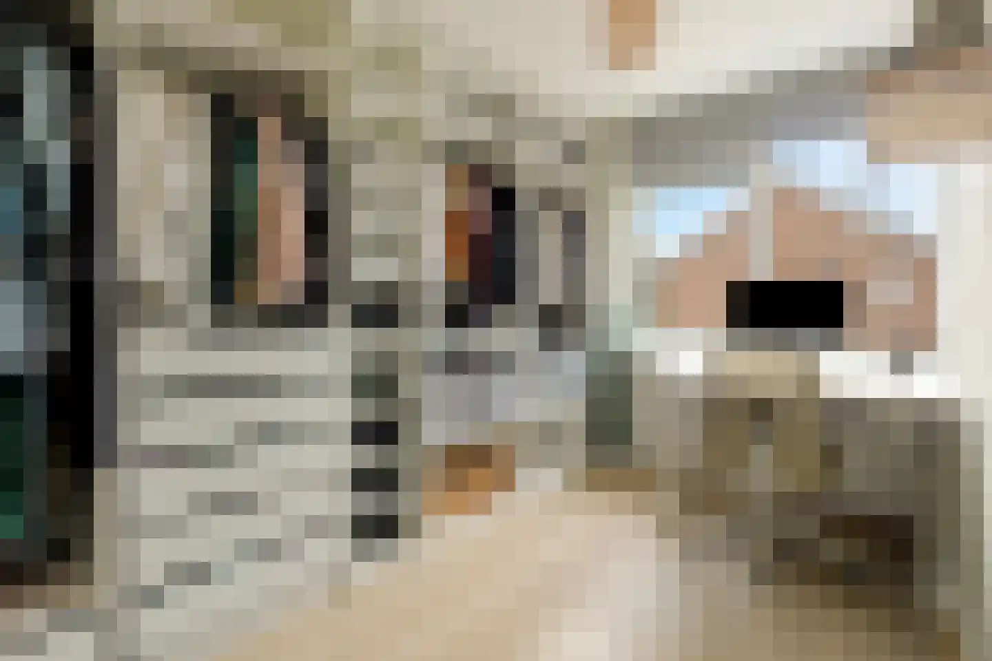 Monnetstraat 10 Zevenaar thumbnail 33