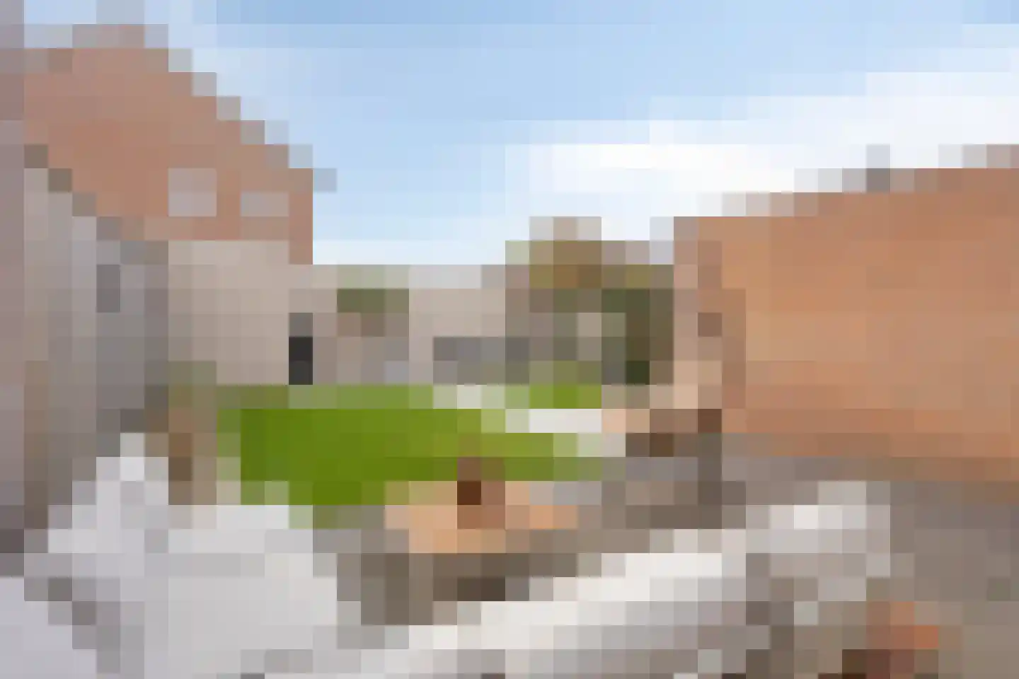Monnetstraat 10 Zevenaar thumbnail 35
