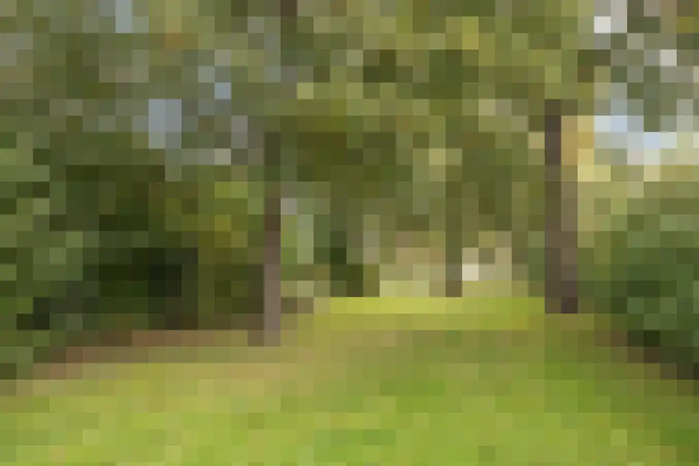 Monnetstraat 10 Zevenaar thumbnail 40