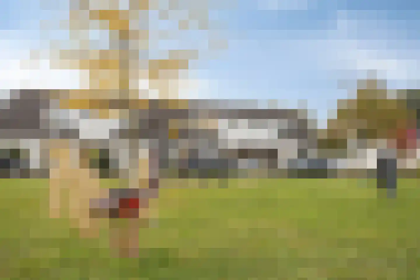 Monnetstraat 10 Zevenaar thumbnail 41