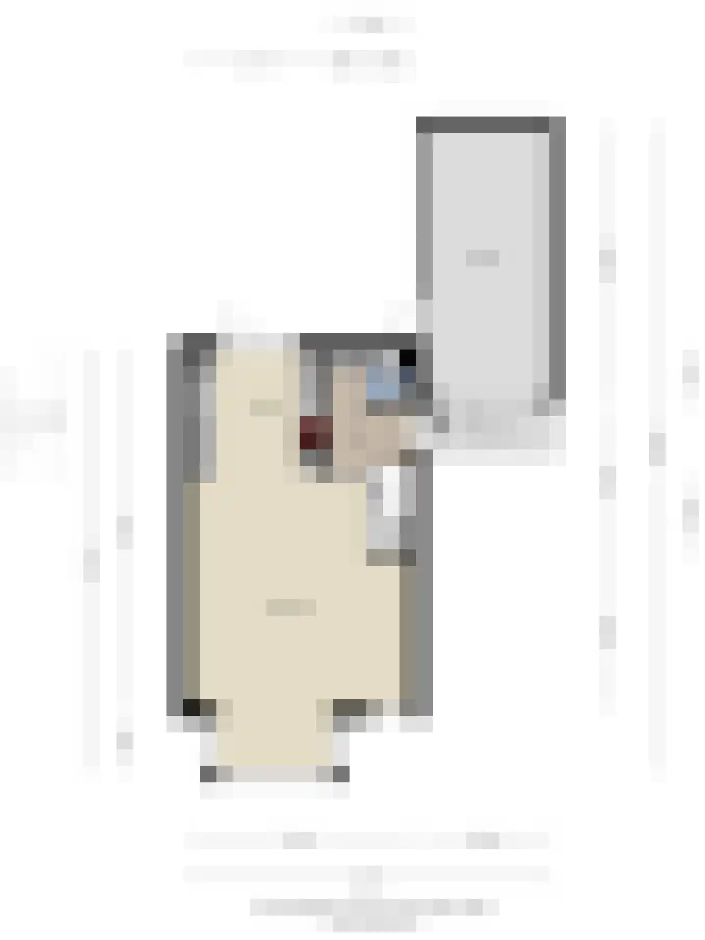 Monnetstraat 10 Zevenaar thumbnail 47