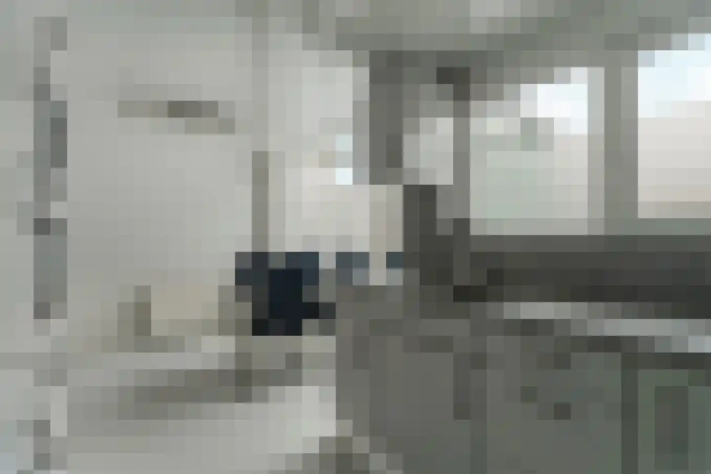 Monnetstraat 14 Zevenaar thumbnail 14