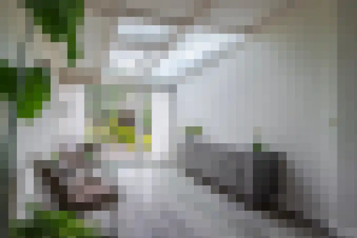 Monnetstraat 23 Zevenaar thumbnail 17