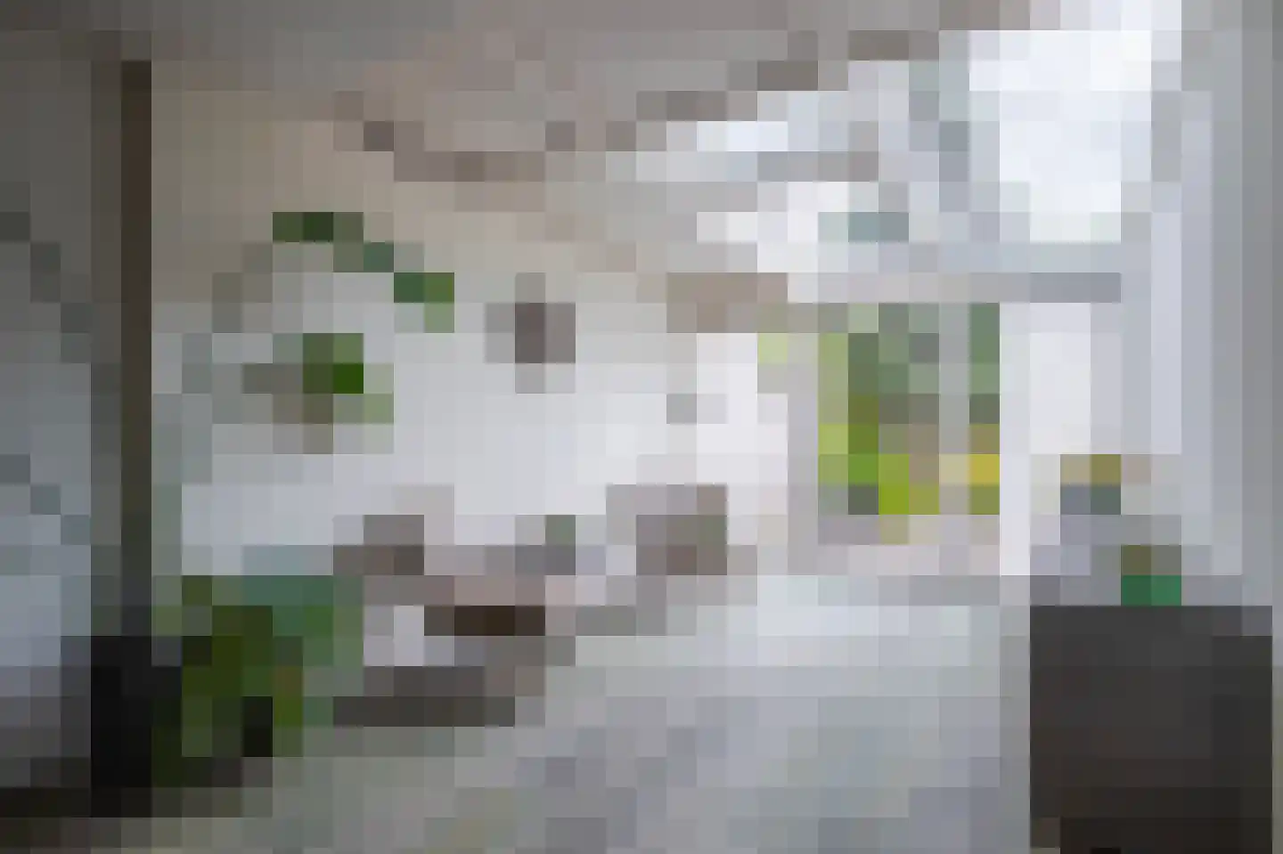 Monnetstraat 23 Zevenaar thumbnail 19