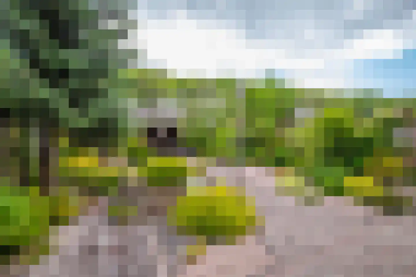 Monnetstraat 23 Zevenaar thumbnail 23