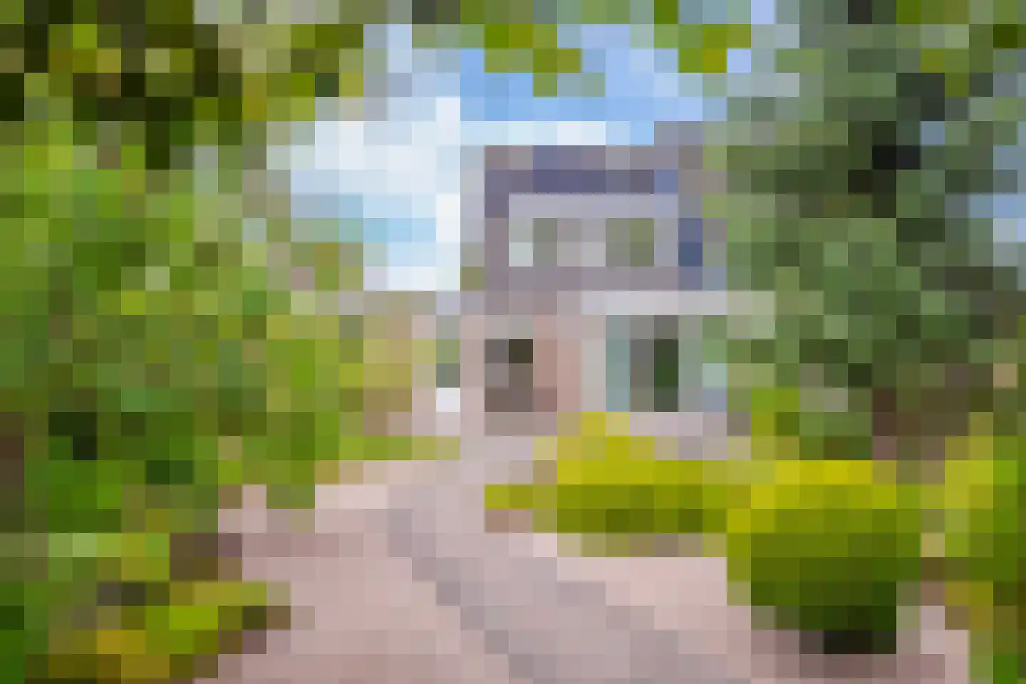 Monnetstraat 23 Zevenaar thumbnail 34