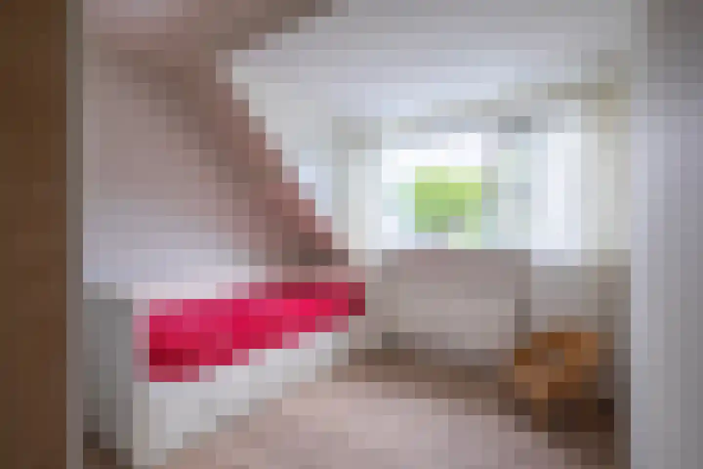 Monnetstraat 23 Zevenaar thumbnail 40